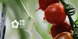 米乐体育官方网站