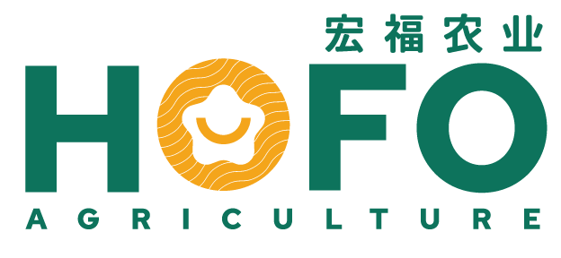 米乐体育官方网站